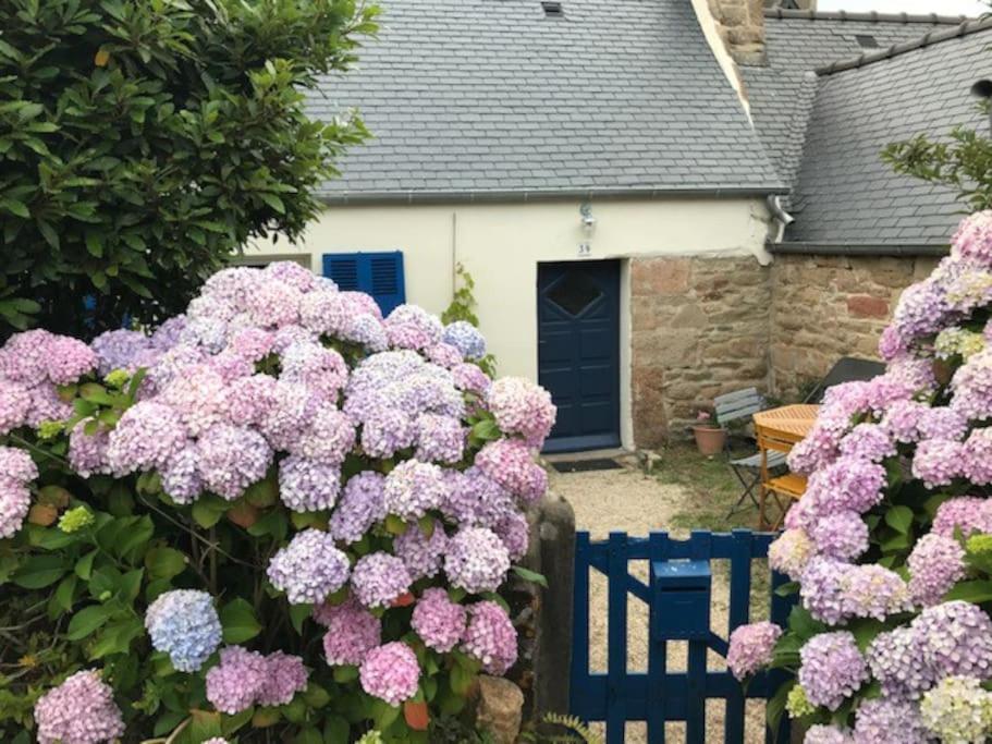 Charmante Maison De Pecheurs Trebeurden Exterior photo